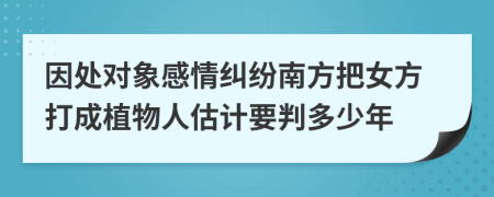 因处对象感情纠纷南方把女方打成植物人估计要判多少年