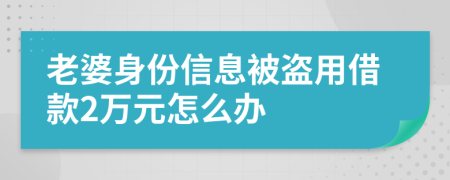 老婆身份信息被盗用借款2万元怎么办