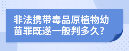 非法携带毒品原植物幼苗罪既遂一般判多久?