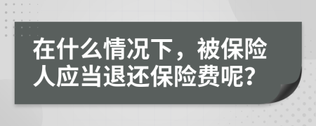 在什么情况下，被保险人应当退还保险费呢？