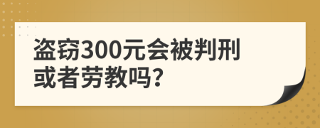 盗窃300元会被判刑或者劳教吗？