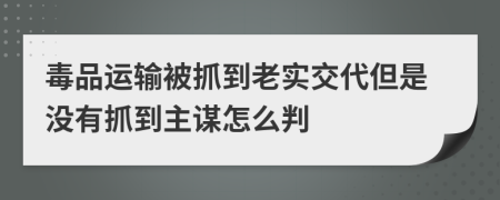 毒品运输被抓到老实交代但是没有抓到主谋怎么判