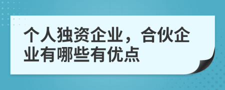 个人独资企业，合伙企业有哪些有优点