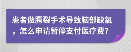 患者做腭裂手术导致脑部缺氧，怎么申请暂停支付医疗费？