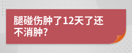 腿碰伤肿了12天了还不消肿?