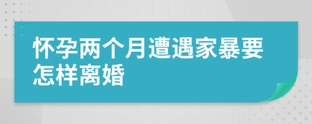 怀孕两个月遭遇家暴要怎样离婚