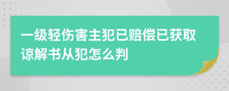 一级轻伤害主犯已赔偿已获取谅解书从犯怎么判
