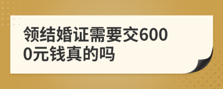 领结婚证需要交6000元钱真的吗