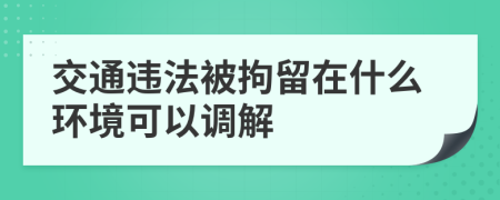 交通违法被拘留在什么环境可以调解