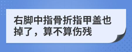 右脚中指骨折指甲盖也掉了，算不算伤残