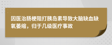 因医治肠梗阻打胰岛素导致大脑缺血缺氧萎缩，归于几级医疗事故