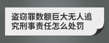 盗窃罪数额巨大无人追究刑事责任怎么处罚