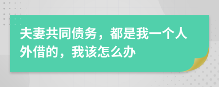 夫妻共同债务，都是我一个人外借的，我该怎么办