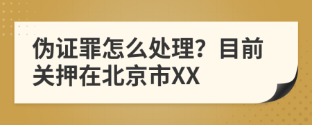 伪证罪怎么处理？目前关押在北京市XX