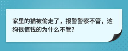 家里的猫被偷走了，报警警察不管，这狗很值钱的为什么不管？