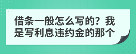 借条一般怎么写的？我是写利息违约金的那个