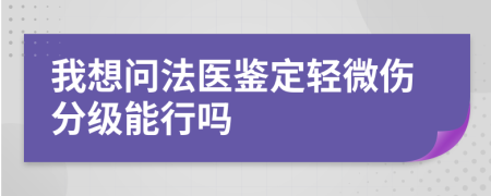 我想问法医鉴定轻微伤分级能行吗