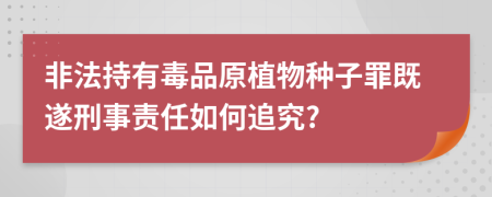 非法持有毒品原植物种子罪既遂刑事责任如何追究?