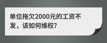 单位拖欠2000元的工资不发，该如何维权？