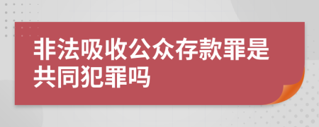 非法吸收公众存款罪是共同犯罪吗