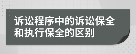 诉讼程序中的诉讼保全和执行保全的区别