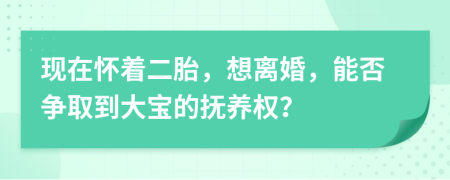 现在怀着二胎，想离婚，能否争取到大宝的抚养权？