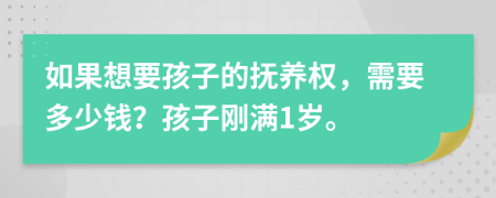 如果想要孩子的抚养权，需要多少钱？孩子刚满1岁。