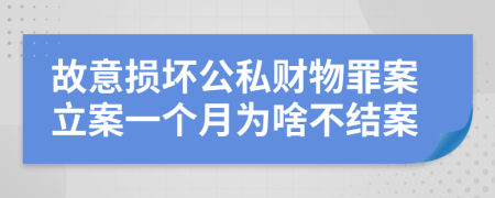 故意损坏公私财物罪案立案一个月为啥不结案