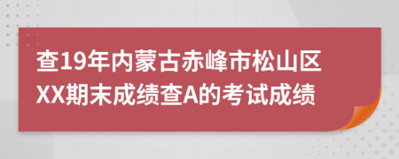 查19年内蒙古赤峰市松山区XX期末成绩查A的考试成绩