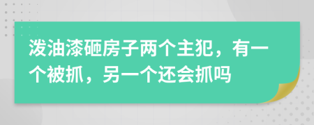 泼油漆砸房子两个主犯，有一个被抓，另一个还会抓吗