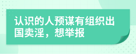 认识的人预谋有组织出国卖淫，想举报