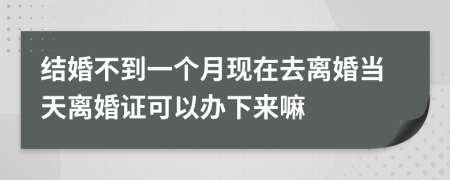 结婚不到一个月现在去离婚当天离婚证可以办下来嘛