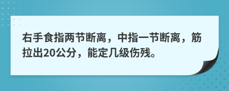 右手食指两节断离，中指一节断离，筋拉出20公分，能定几级伤残。