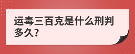 运毒三百克是什么刑判多久？