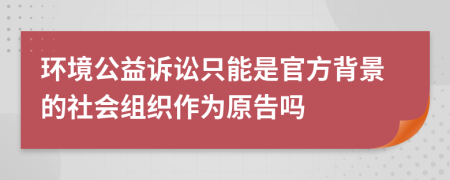 环境公益诉讼只能是官方背景的社会组织作为原告吗