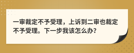 一审裁定不予受理，上诉到二审也裁定不予受理。下一步我该怎么办？