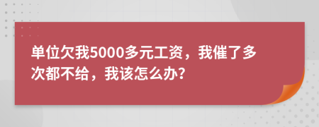 单位欠我5000多元工资，我催了多次都不给，我该怎么办？