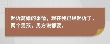 起诉离婚的事情，现在我已经起诉了，两个男孩，男方说都要，