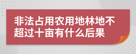 非法占用农用地林地不超过十亩有什么后果