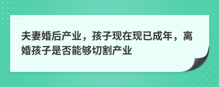 夫妻婚后产业，孩子现在现已成年，离婚孩子是否能够切割产业