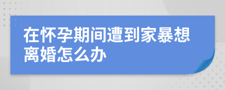 在怀孕期间遭到家暴想离婚怎么办
