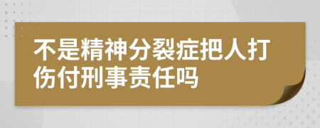 不是精神分裂症把人打伤付刑事责任吗