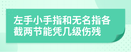左手小手指和无名指各截两节能凭几级伤残