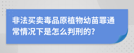 非法买卖毒品原植物幼苗罪通常情况下是怎么判刑的?