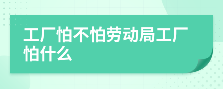 工厂怕不怕劳动局工厂怕什么