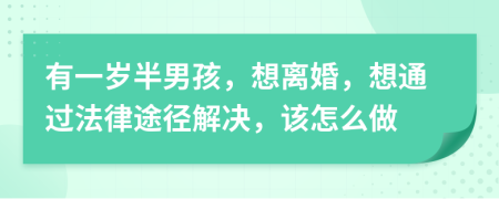 有一岁半男孩，想离婚，想通过法律途径解决，该怎么做