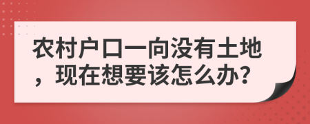 农村户口一向没有土地，现在想要该怎么办？