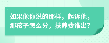 如果像你说的那样，起诉他，那孩子怎么分，扶养费谁出？