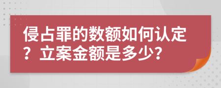 侵占罪的数额如何认定？立案金额是多少？