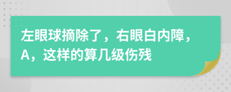 左眼球摘除了，右眼白内障，A，这样的算几级伤残